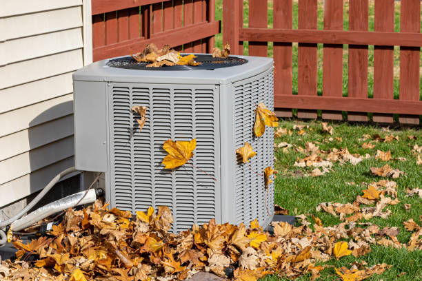 Best Air Quality Test  in Bull Shoals, AR